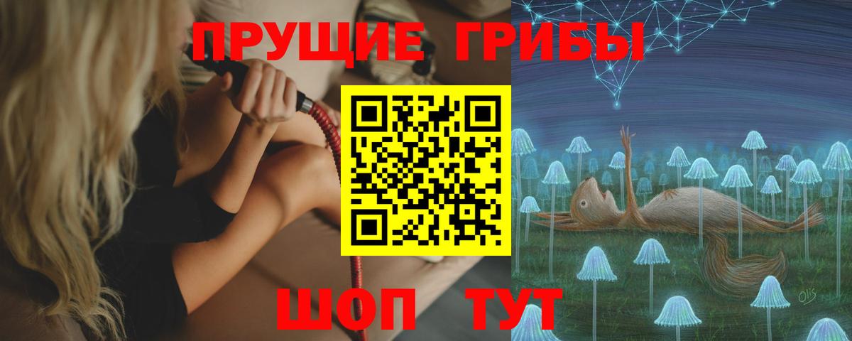 Псилоцибиновые грибы Psilocybine cubensis Волжск